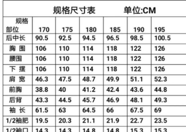 175码属于L还是XL