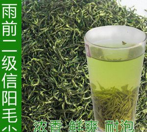 信阳毛尖属于绿茶类吗