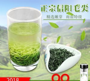 信阳毛尖是不是绿茶?