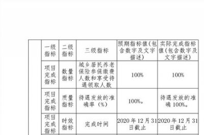 ​南江人社社保查询