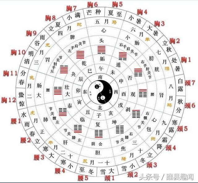 易经六十四卦全图解（易经六十四卦全图解）(5)