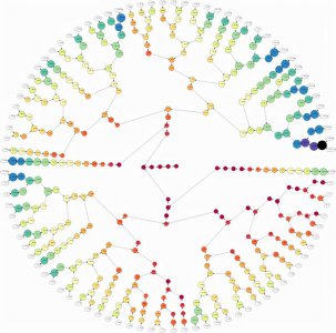 ​23个世界数学难题（最有趣最危险最复杂的世界数学难题）