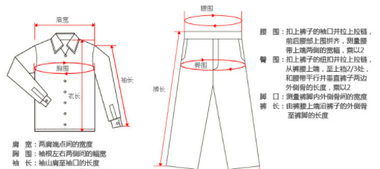 l码是多大,l码是多大图3