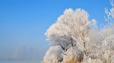 ​冬天分为哪三个阶段,春天分为哪几个阶段春季三个阶段名称