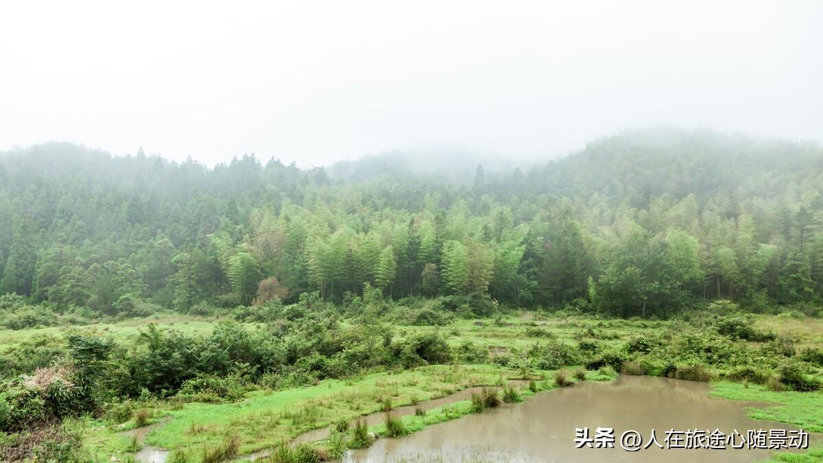 永嘉哪里好玩的景点(永嘉有什么好玩的地方推荐)