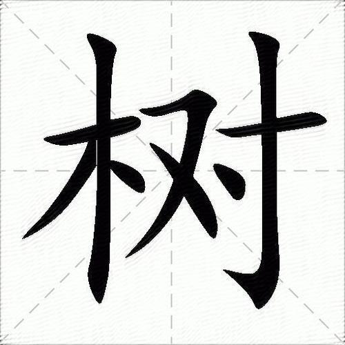 树字笔顺怎么写