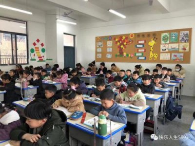 ​找规律教学反思一年级下册_一年级数学下册找规律教学反思