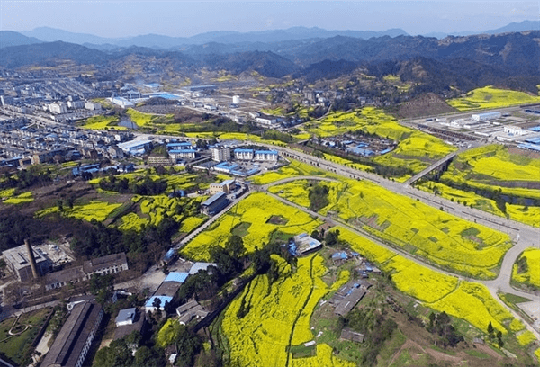 达州市有多少人口(达州市各区县人口排名)