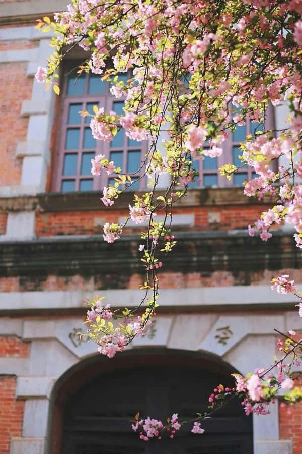 全国最美大学排行（中国最美大学）