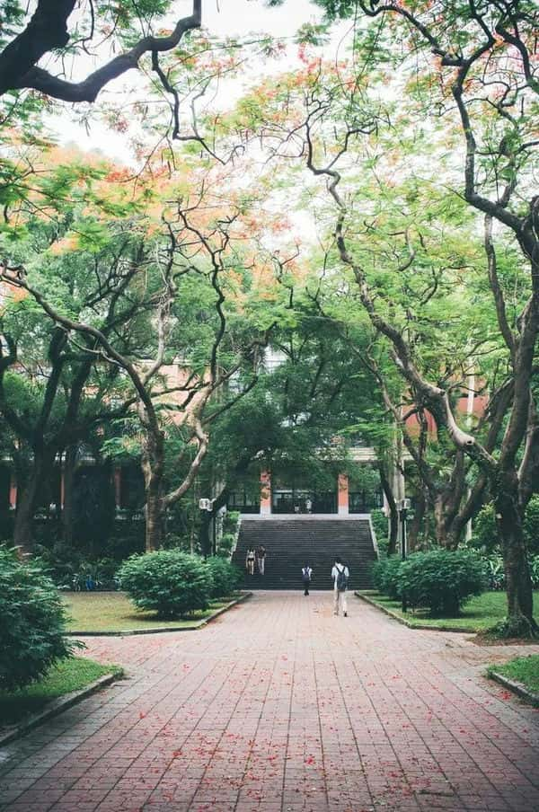 全国最美大学排行（中国最美大学）