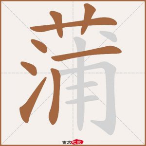 ​蒲怎么读（蒲字相关释义）