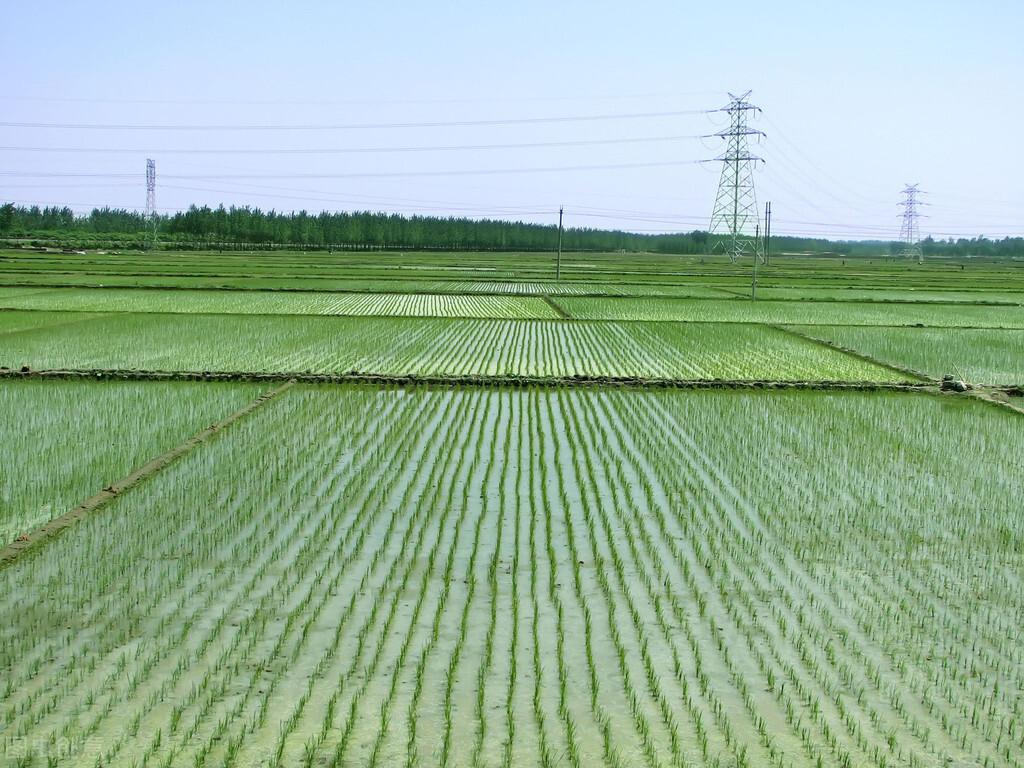 华北平原在哪(华北平原地理位置)