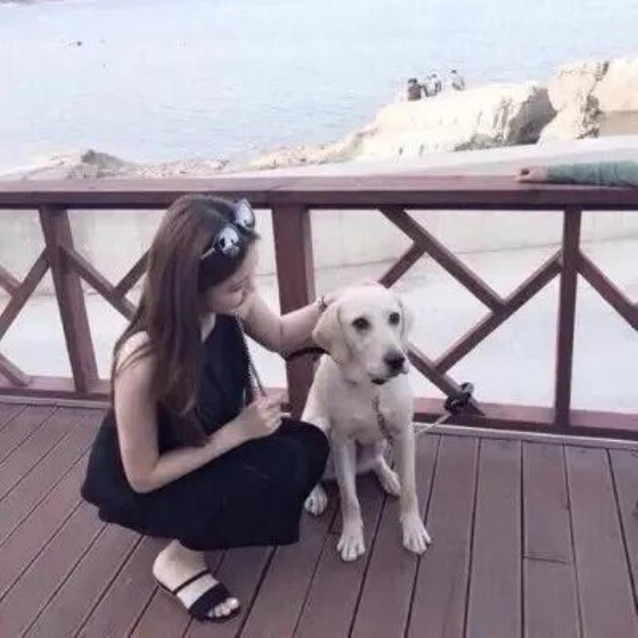 如果老婆非要离婚怎么办（老婆为了一条狗要和我离婚）