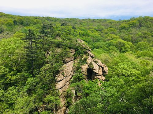 一、长白山国家森林公园