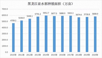 ​黑龙江种植什么农作物(黑龙江种小麦还是水稻)