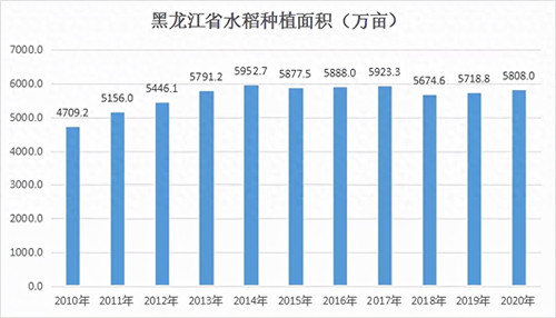 黑龙江种植什么农作物(黑龙江种小麦还是水稻)