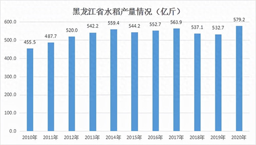 黑龙江种植什么农作物(黑龙江种小麦还是水稻)