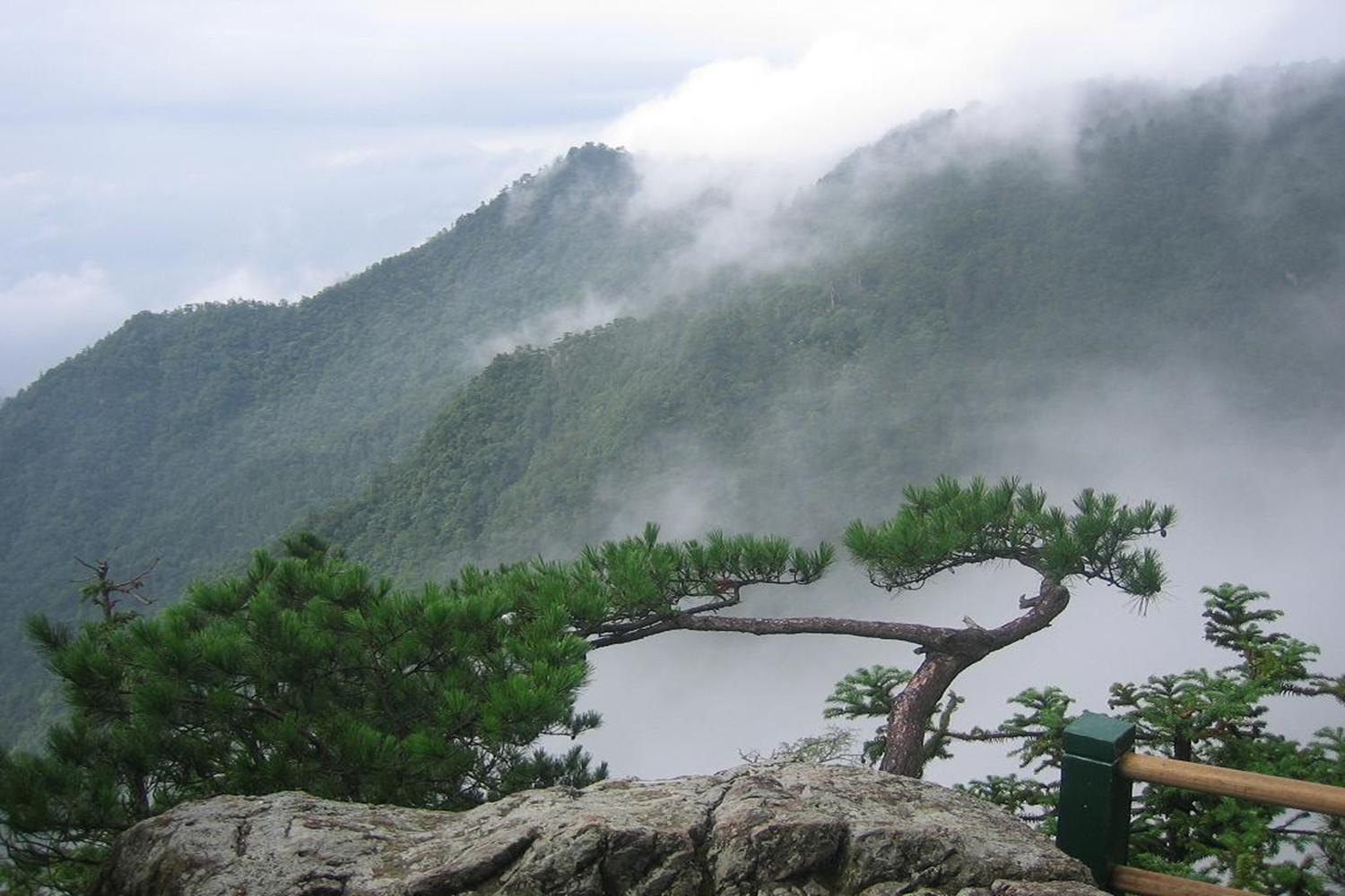 杭州适合周末去爬的山(杭州4个值得打卡的山峰)