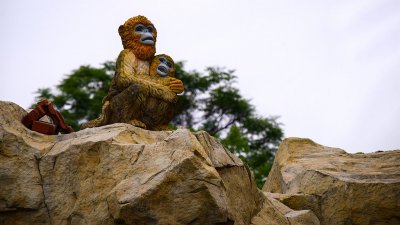 ​江苏最高的山(江苏各市最高山排名)