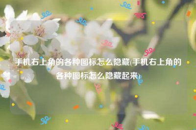 ​手机右上角的各种图标怎么隐藏(手机右上角的各种图标怎么隐藏起来)