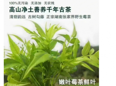 ​莓茶的冲泡方式莓茶是煮着喝还是泡着喝