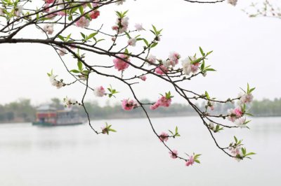 ​春天的诗句和优美句子（10首最美春风诗词，秀丽江山，田园如画，送你一场春暖