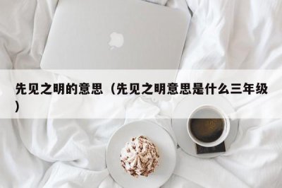 ​先见之明的意思（先见之明意思是什么三年级）