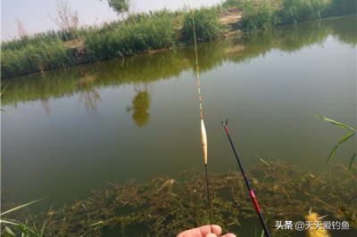 ​钓鱼怎样调漂最好：做了这三个步骤，调漂更准，上鱼更多