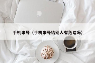 ​手机串号（手机串号给别人有危险吗）