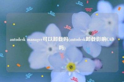 ​autodesk manager可以卸载吗(autodesk卸载影响CAD吗)