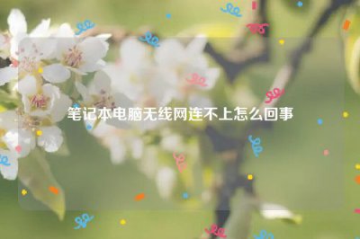 ​笔记本电脑无线网连不上怎么回事