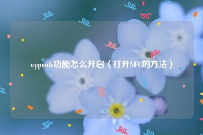 ​opponfc功能怎么开启（打开NFC的方法）