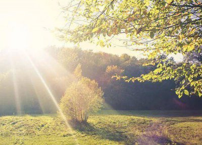 ​空调、电扇、空调扇……炎炎夏日，制冷家电该咋选？