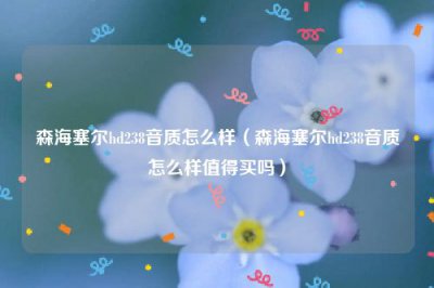 ​森海塞尔hd238音质怎么样（森海塞尔hd238音质怎么样值得买吗）