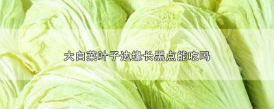 ​大白菜叶子边缘长黑点能吃吗 大白菜叶子边缘长黑点能吃吗有毒吗