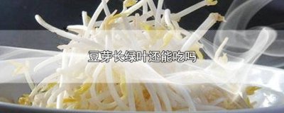 ​长了绿叶的豆芽能吃吗有毒吗 长了绿叶的豆芽能吃吗图片