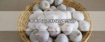 ​冬天怎么保存大蒜不发芽 大蒜冬季怎么储存不发芽