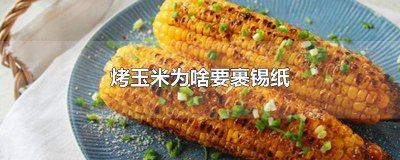 ​烤玉米不用锡箔纸可以吗视频 怎么用锡箔纸烤玉米