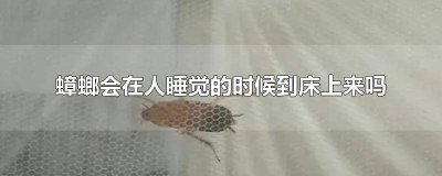 ​蟑螂爬过的床还可以睡吗 蟑螂床上爬过还能睡吗