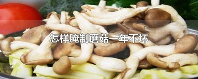 ​鲜蘑菇怎么腌制保存 腌制蘑菇怎么做好吃