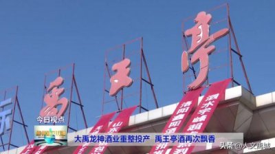 ​禹王亭酒多少钱图片(禹王亭酒38度价格)