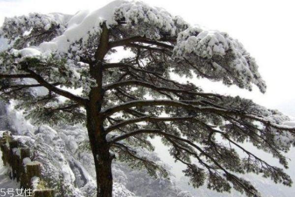 冬天适合去哪里旅游 滑雪温泉一个都不能少