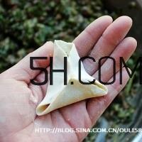 怎么包饺子快又好看？十种家常包饺子的方法~