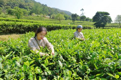 ​广东新兴县是禅宗六祖惠能大师出生和圆寂的地方