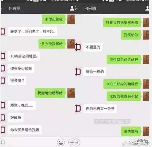 摔狗门事件”背后, 那些被忽略的黑暗丛林法则