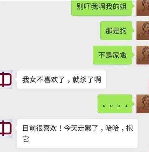 摔狗门事件”背后, 那些被忽略的黑暗丛林法则