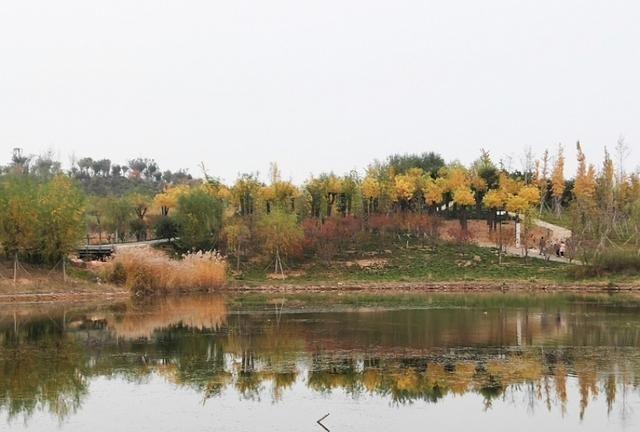 秋到龙泉湖湿地公园