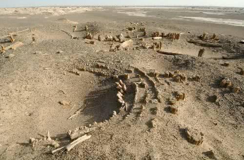 沙漠发现3800年前的墓，挖开后由上万根木头组成，专家：太阳墓