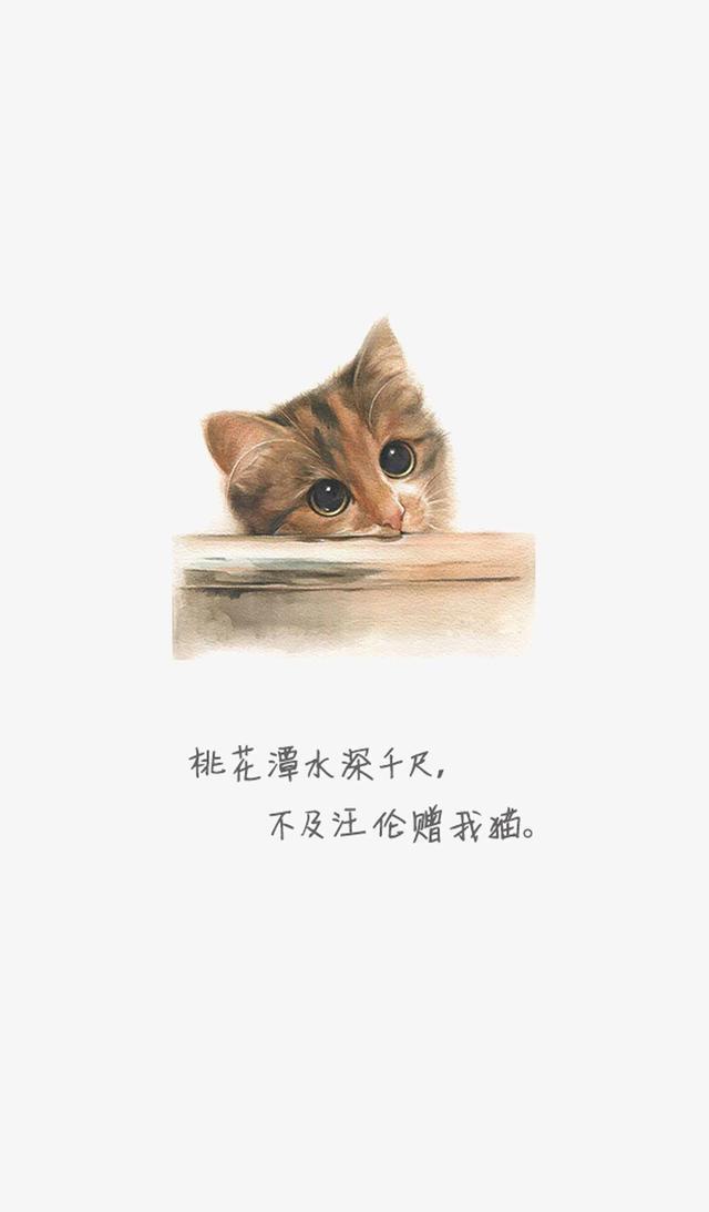 「美图 壁纸」你要的卡通猫咪壁纸