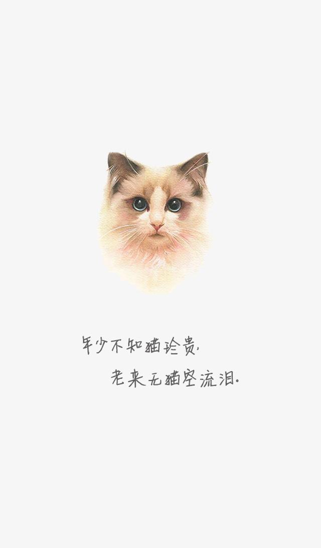 「美图 壁纸」你要的卡通猫咪壁纸